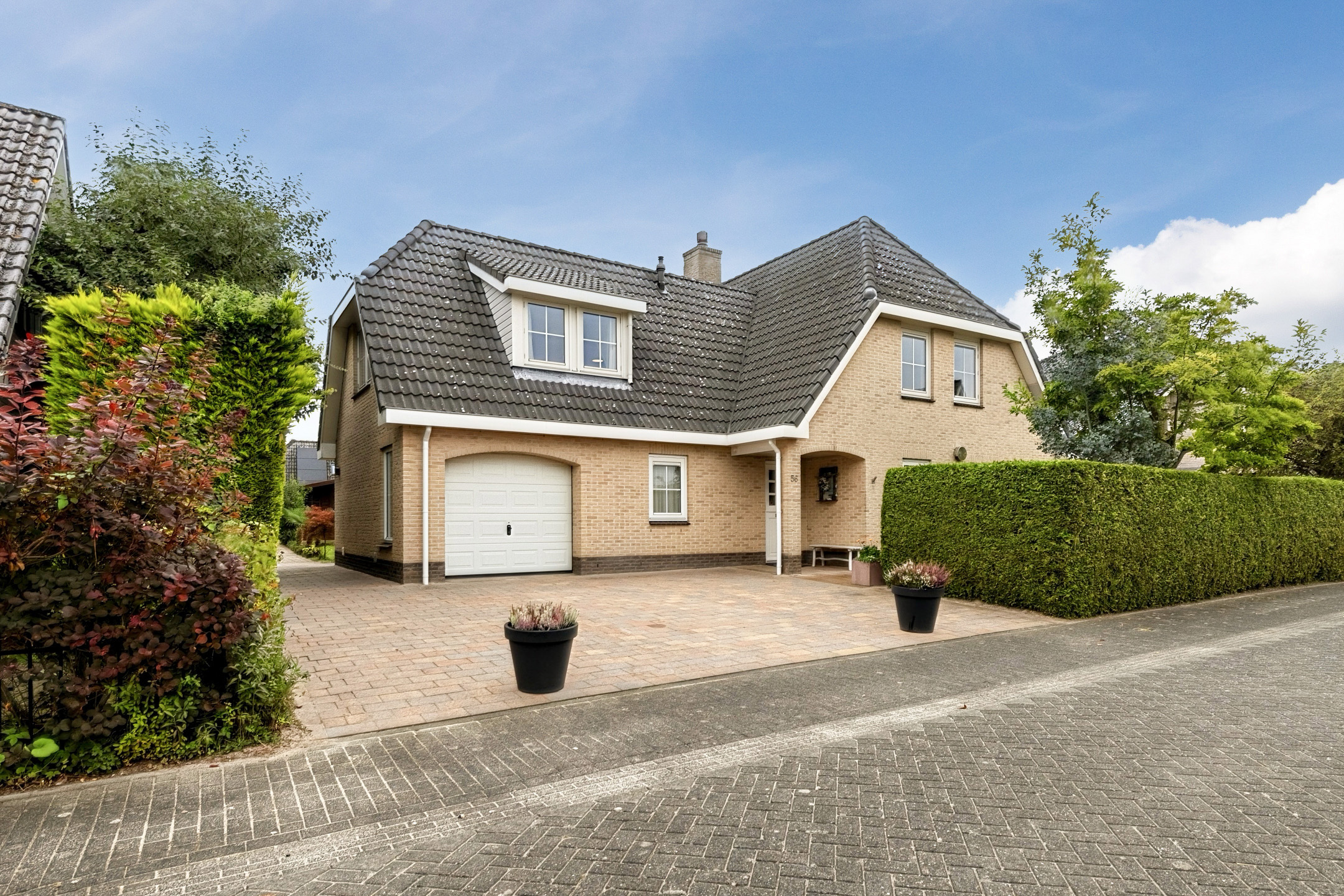 Langevelderslag 56