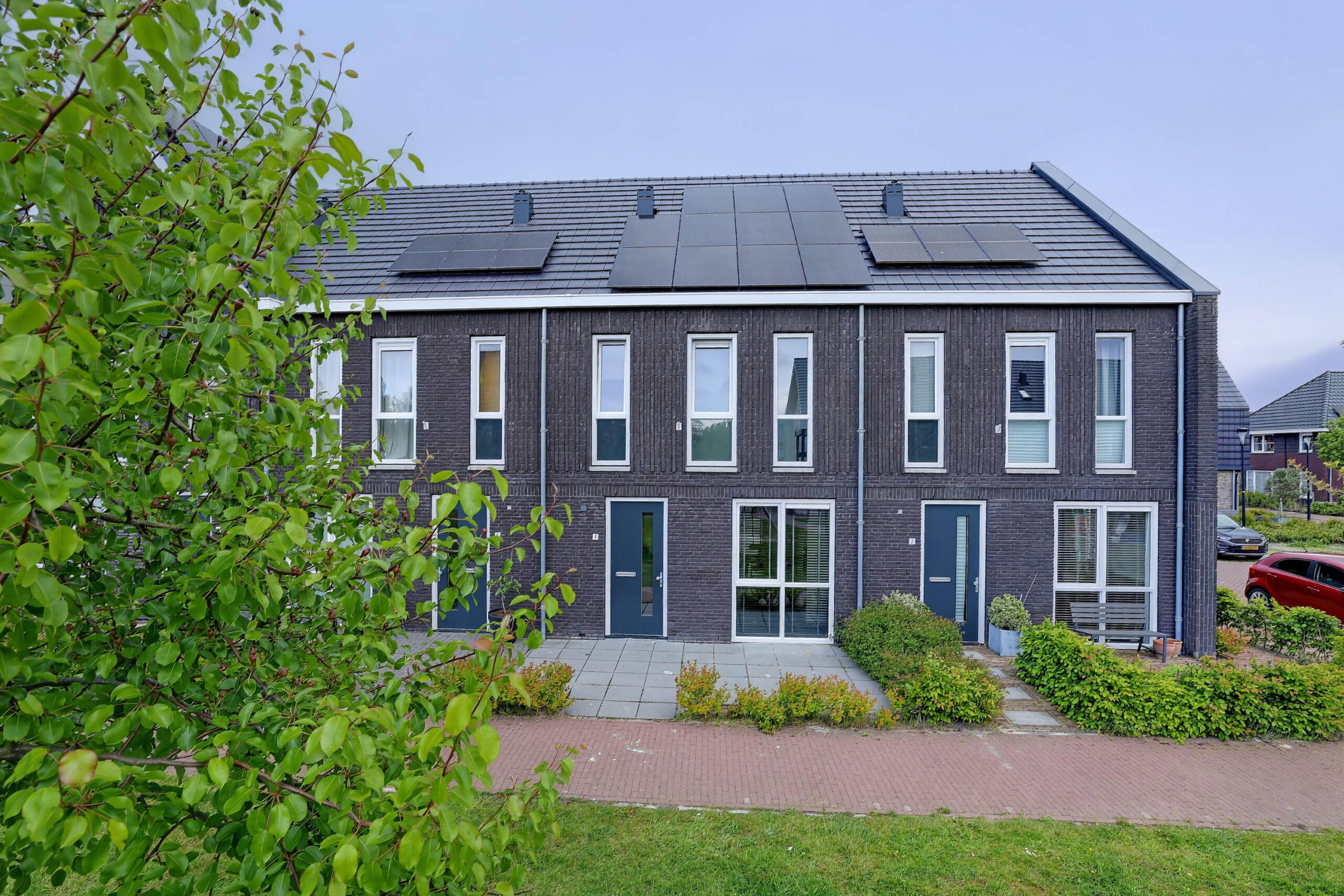 Wijting 4