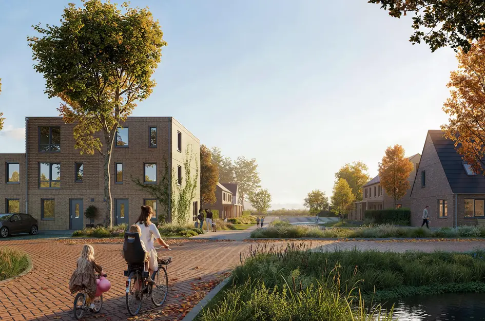 Kamille, Heerhugowaard