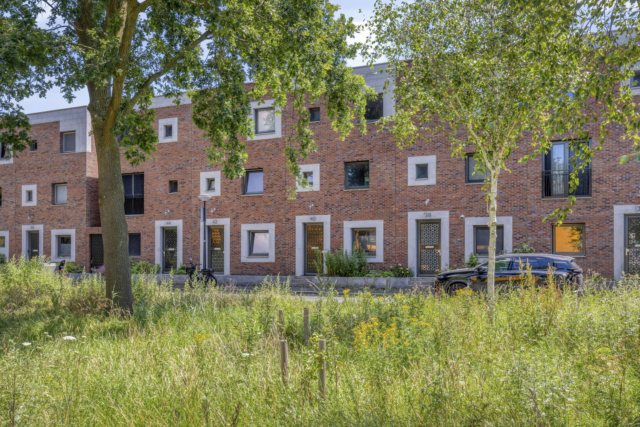 Kleefkruidstraat 40