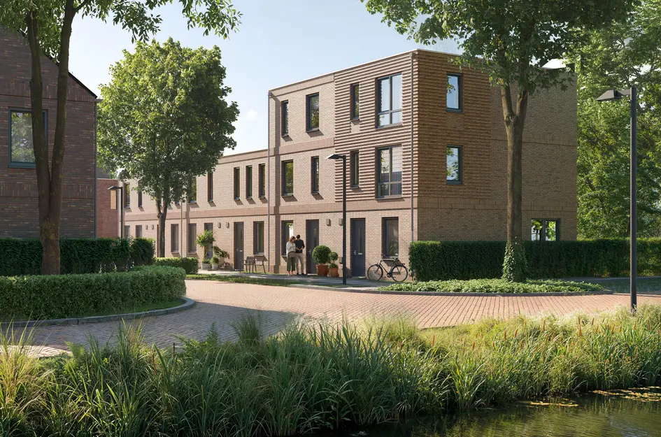 Kamille, Heerhugowaard