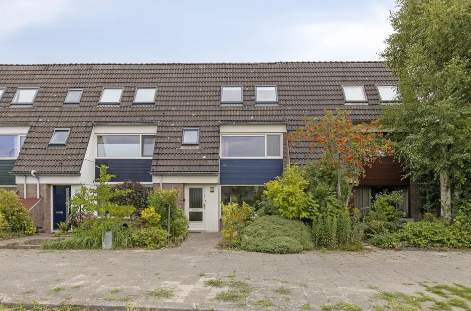 Zwanebloem 7