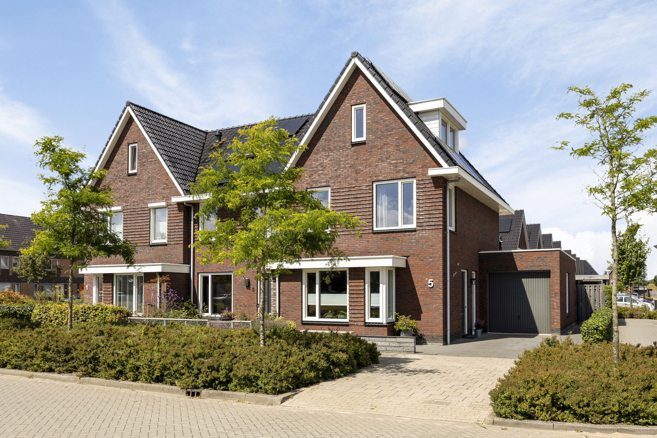 Purperreiger 5